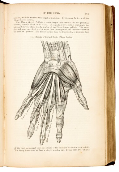 View full screen - View 1 of Lot 99. Gray, Anatomy descriptive and surgical, London, 1858, original brown cloth.