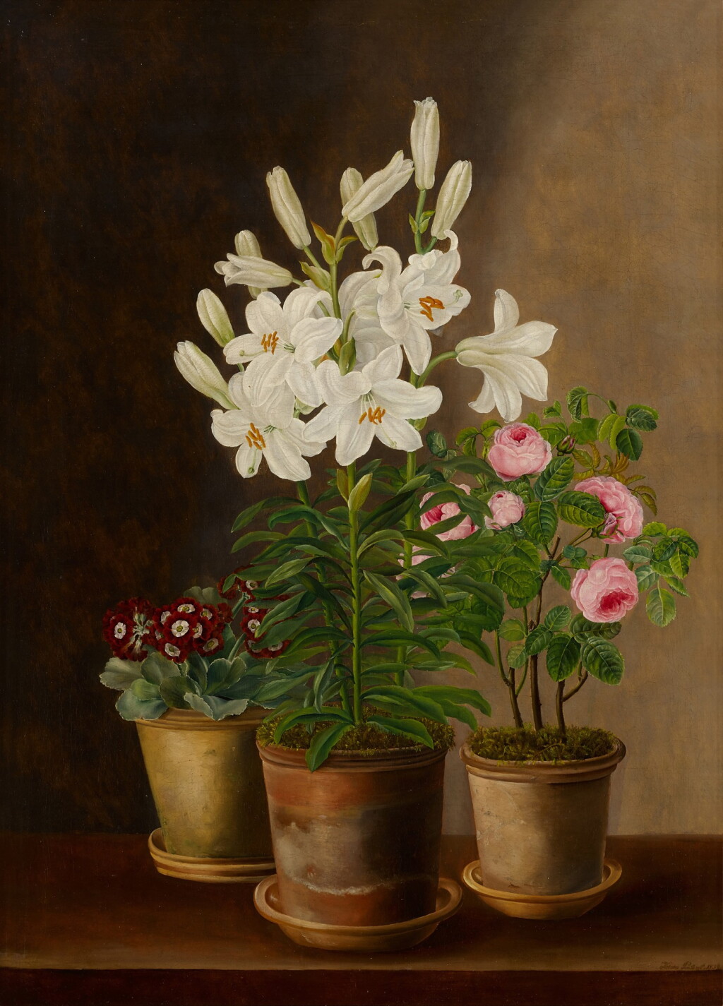 View full screen - View 1 of Lot 460. Potted Flowers.
