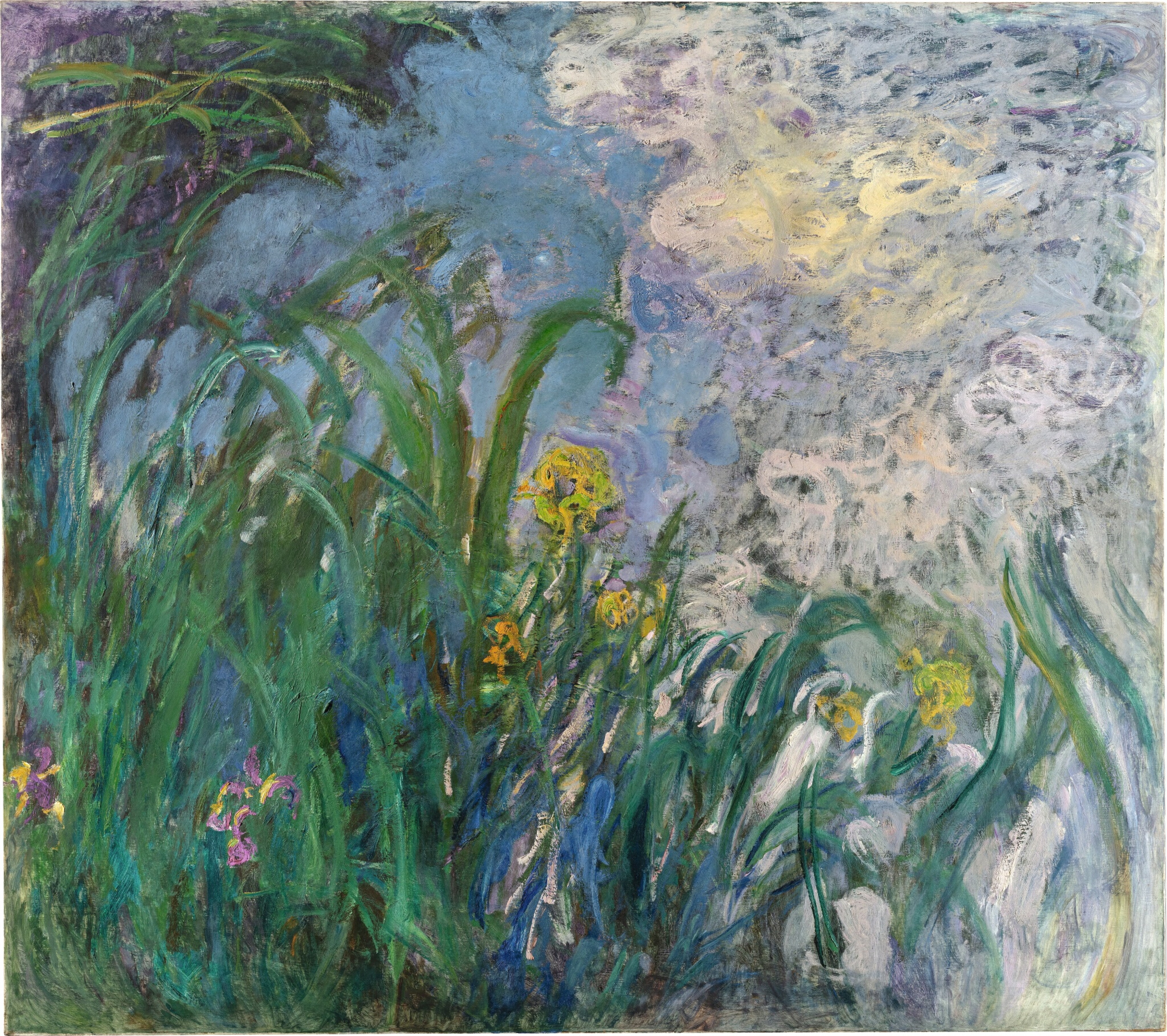 Claude Monet, Iris