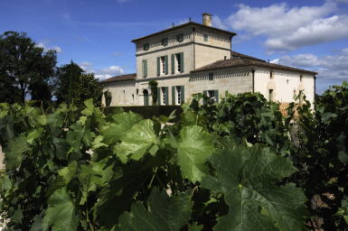 View full screen - View 1 of Lot 648. Château La Fleur Pétrus 1995 (1 IMP).
