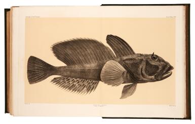 View full screen - View 1 of Lot 71. Challenger Expedition—Thomson and Murray | Report on the Scientific Results of the Voyage... during the years 1873-76..., 1880-95, first edition, 41 volumes bound in 50.