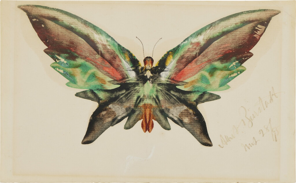 View full screen - View 1 of Lot 781. Butterfly.