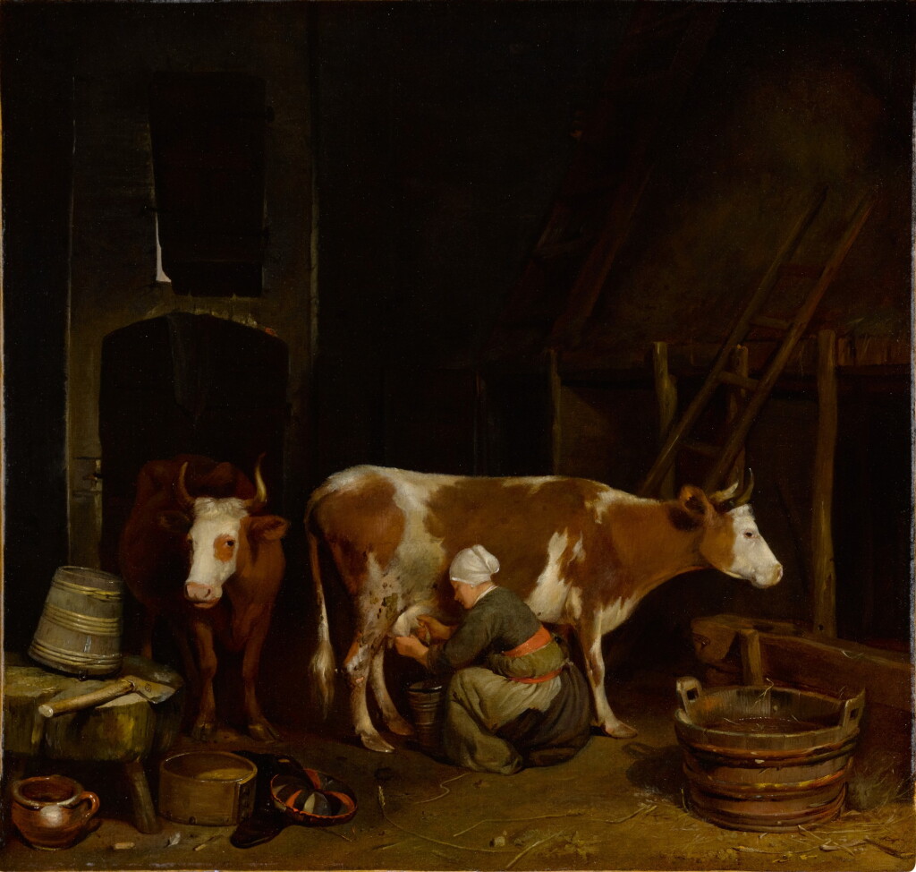 全萤幕检视 - 查看322A barn interior with a maid milking cows的1