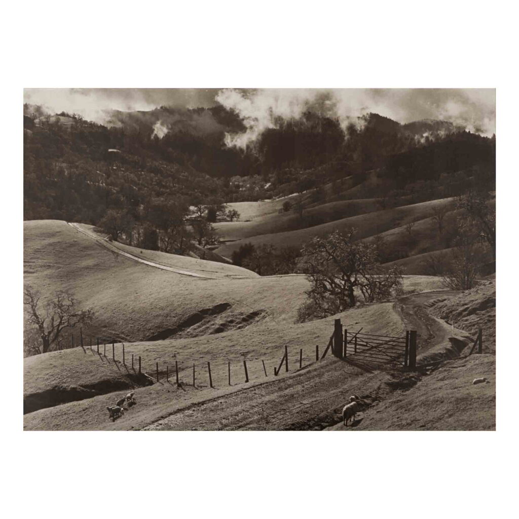 View full screen - View 1 of Lot 104. Rolling Hills, Mendocino County.