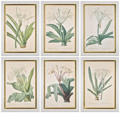 View full screen - View 1 of Lot 117. A set of six botanical engravings after Pierre-Joseph Redouté, first quarter of 19th century.