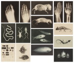 Versuche über Photographie mittelst der Röntgen'schen Strahlen