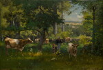 A Summer Morning