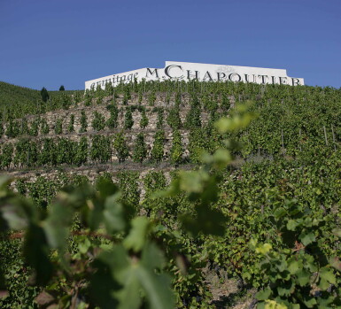 View full screen - View 1 of Lot 433. Ermitage Blanc de l'Orée 2011 Chapoutier (12 BT).