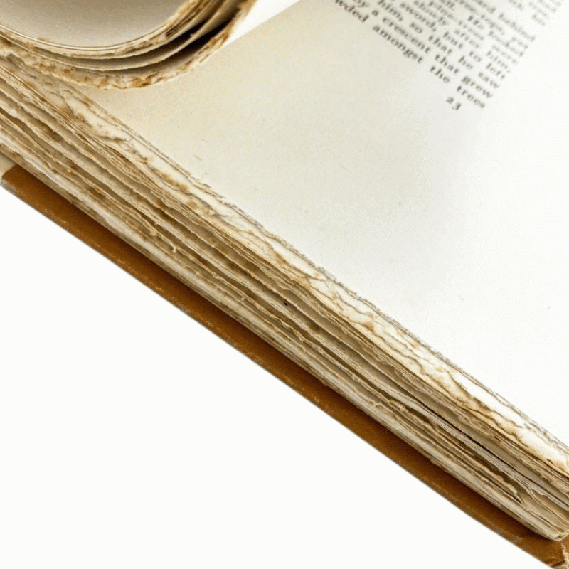 Cover image 0
