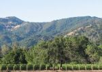 Fisher Vineyards, Cabernet Sauvignon, Lamb Vineyard, Calistoga 2008 (12 BT)