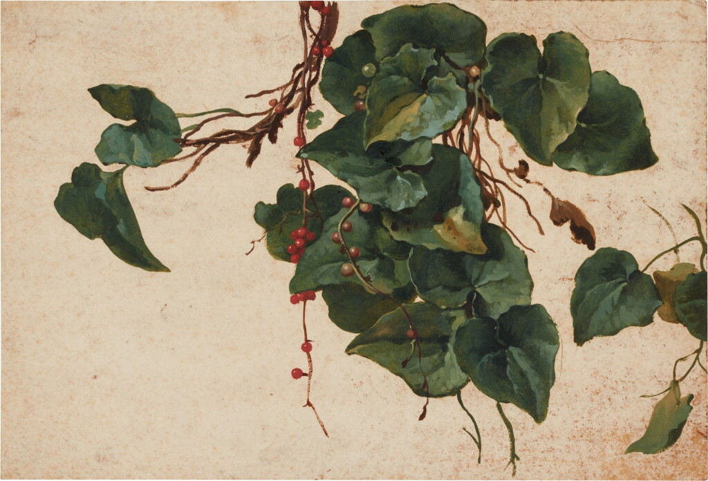 View full screen - View 1 of Lot 167. Ivy and berries.