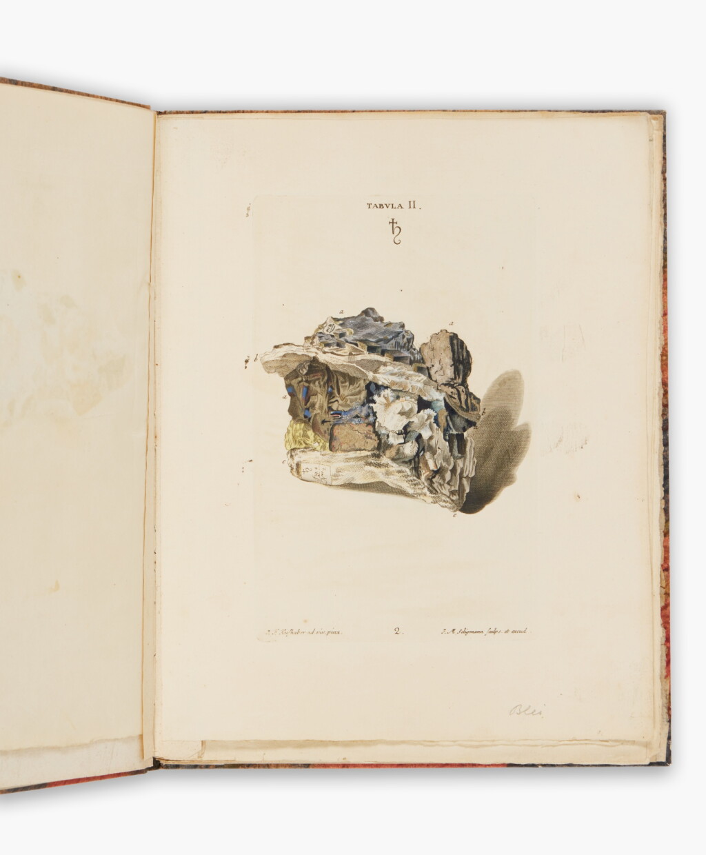 View full screen - View 1 of Lot 194. Schmidel, Casimir Christoph | A visually engaging treatise on petrifactions.