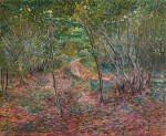 Forest Interior
