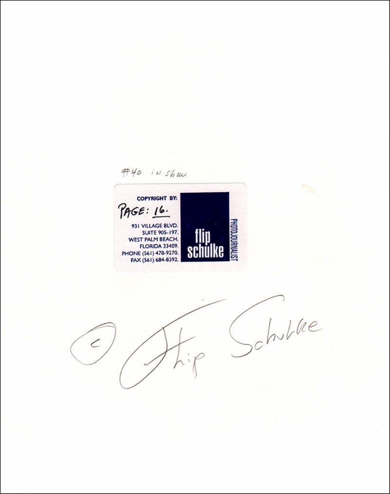 Cover image 0