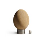 An Egg of an Elephant Bird