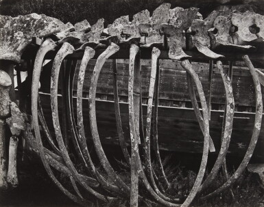 View full screen - View 1 of Lot 153. 'Whale Bones'.