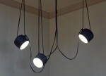 Triple "Grande Liane" Ceiling Light