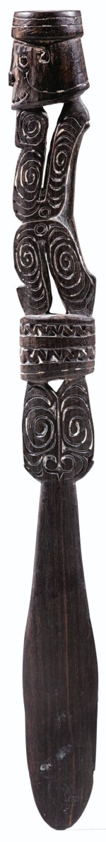 SPATULE À CHAUX, PAPOUASIE NOUVELLE GUINÉE