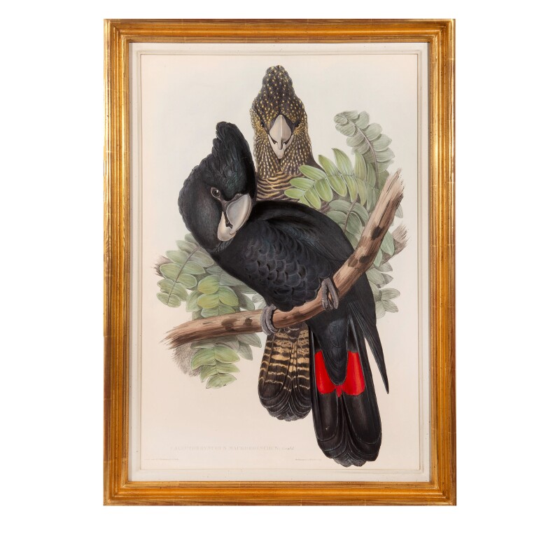 Cover image 0