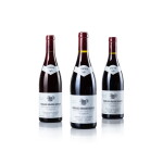 Pommard, Les Grands Epenots 1999/2009/2019, Domaine Michel Gaunoux (3 BT)