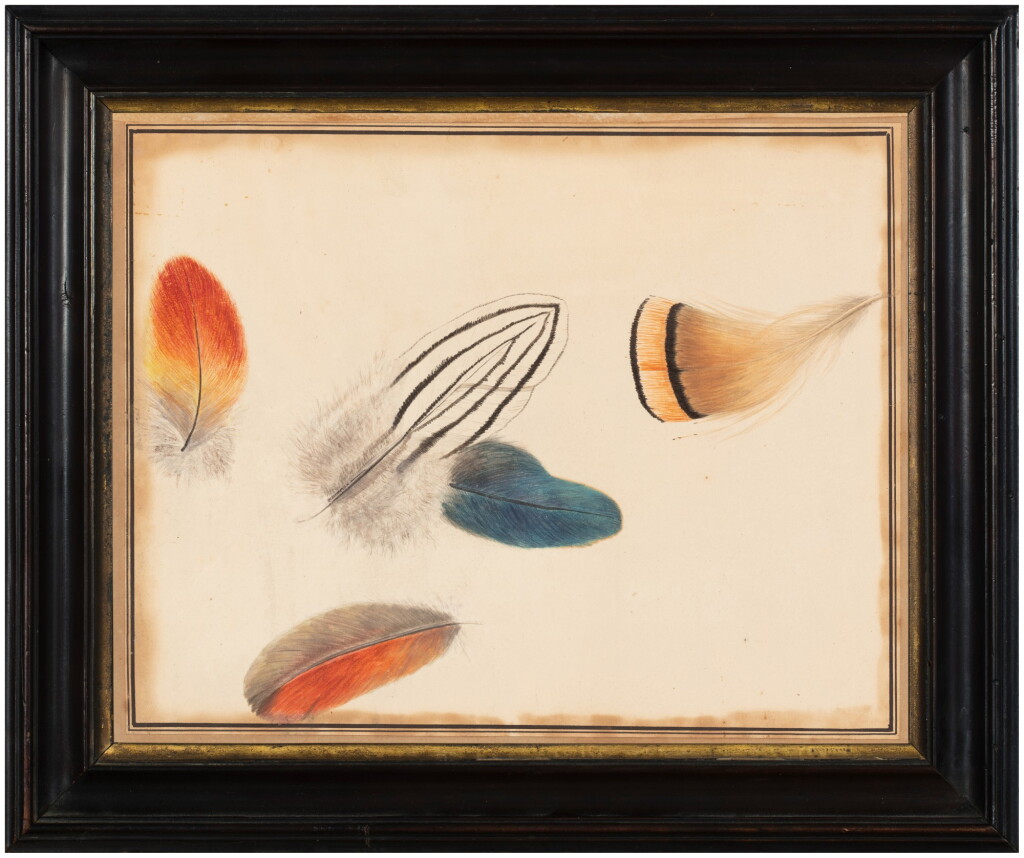 View full screen - View 1 of Lot 213. Late 19th-Early 20th Century School, A Study of Five Feathers | Ecole de la fin du XIXe siècle-Début du XXe siècle, Etude de cinq plumes.