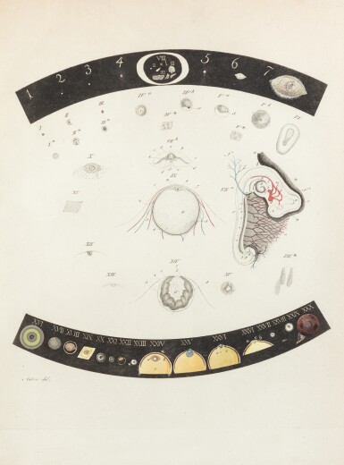 View full screen - View 1 of Lot 40. Réunion de 12 ouvrages (1743-1889) ayant apporté une avancée notable dans l’histoire de l’embryologie et de la pédiatrie..