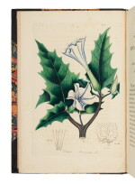 Bigelow, Jacob | The first American book with color printing