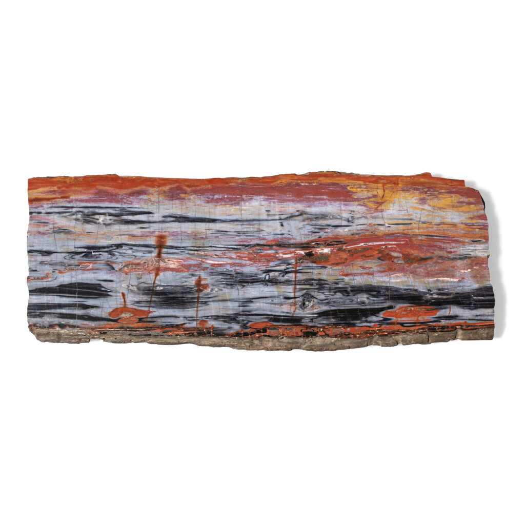 View full screen - View 1 of Lot 94. Large Slice of Petrified Wood.