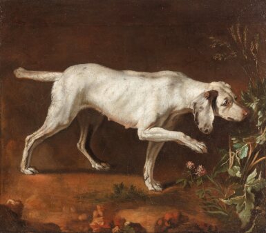 View full screen - View 1 of Lot 32. Female pointer on point.