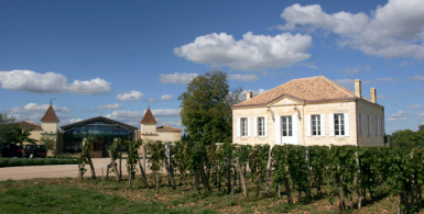 View full screen - View 1 of Lot 620. Château Le Gay 2016 (12 BT).