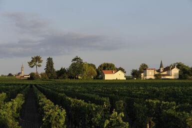 View full screen - View 1 of Lot 456. Château Latour à Pomerol 2018 (24 BT).