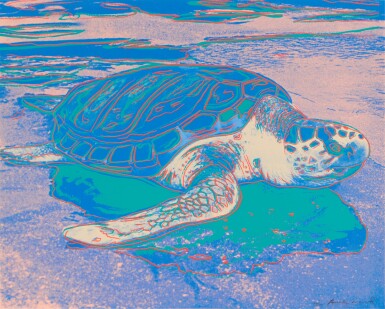 View full screen - View 1 of Lot 122. Turtle (Feldman & Schellmann II.360A).