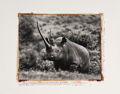 View full screen - View 1 of Lot 202. 'World Record Class Rhino in the Aberdare Forest'.