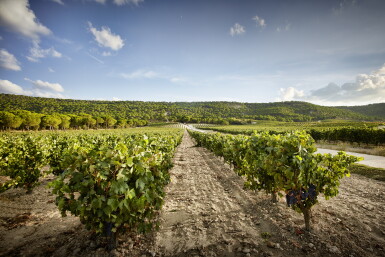 View full screen - View 1 of Lot 498. Vega Sicilia, 'Valbuena No. 5' 1996 (3 BT).