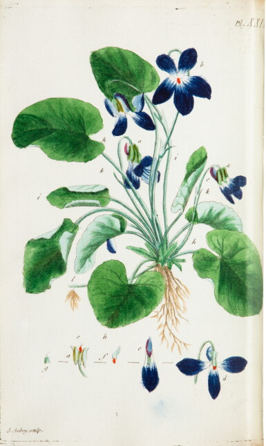 View full screen - View 1 of Lot 526. Lettres élémentaires sur la Botanique. 1789. 3 vol, maroquin vert de la duchesse Berry. 44 planches en coul..