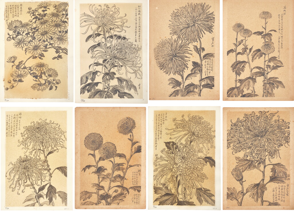 View full screen - View 1 of Lot 3171. 陶冷月 寫生菊花譜 | Tao Lengyue, Sketches of Chrysanthemums.