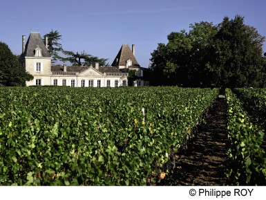 View full screen - View 1 of Lot 7459. Vieux Château Certan 2009 (12 BT).