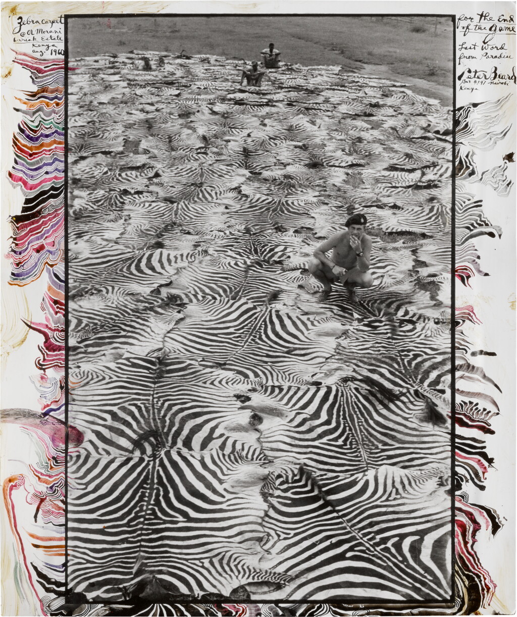 View full screen - View 1 of Lot 32. PETER BEARD | 'ZEBRA CARPET', OL MORANI, LARIAK ESTATE, KENYA, AUGUST 1960.