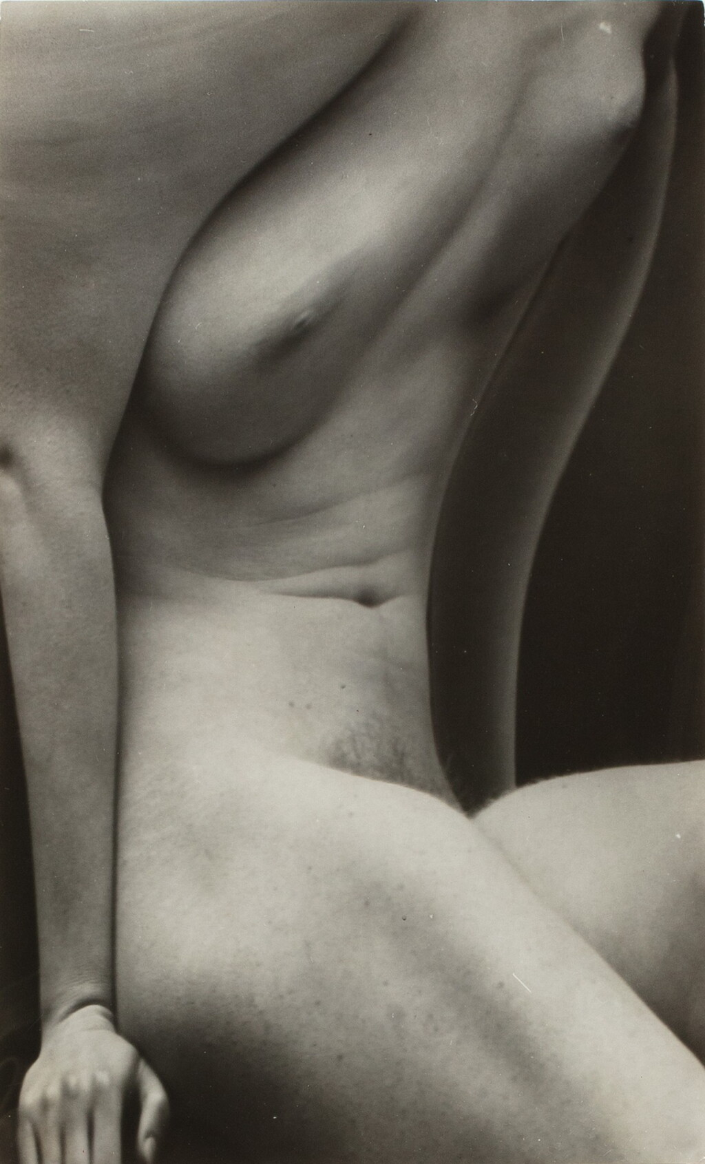 View full screen - View 1 of Lot 36. ANDRÉ KERTÉSZ | DISTORTION #166, 1932-1933.
