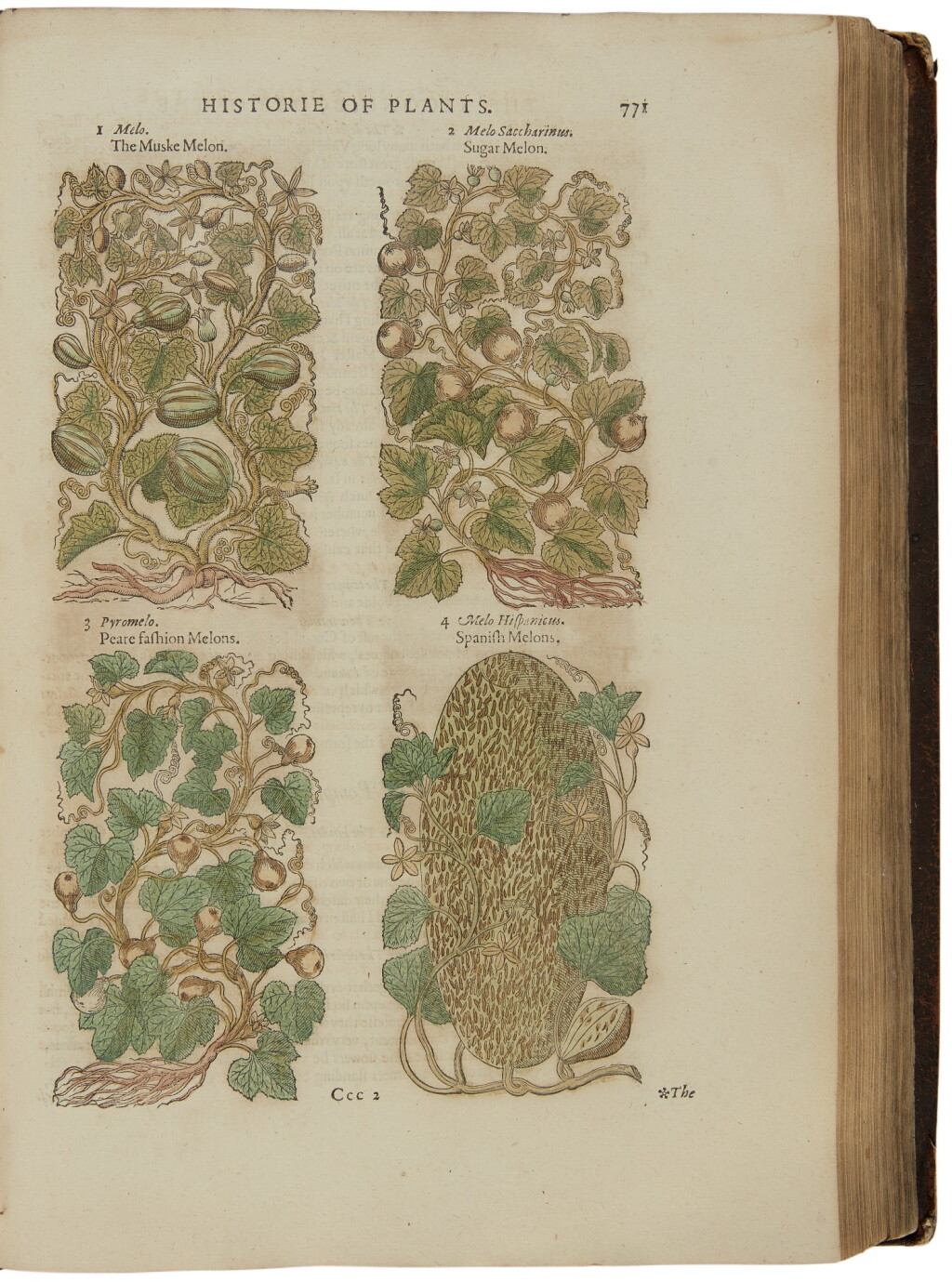 View full screen - View 1 of Lot 195. GERARD, JOHN | The Herball or Generall Historie of Plantes. London: John Norton 1597.