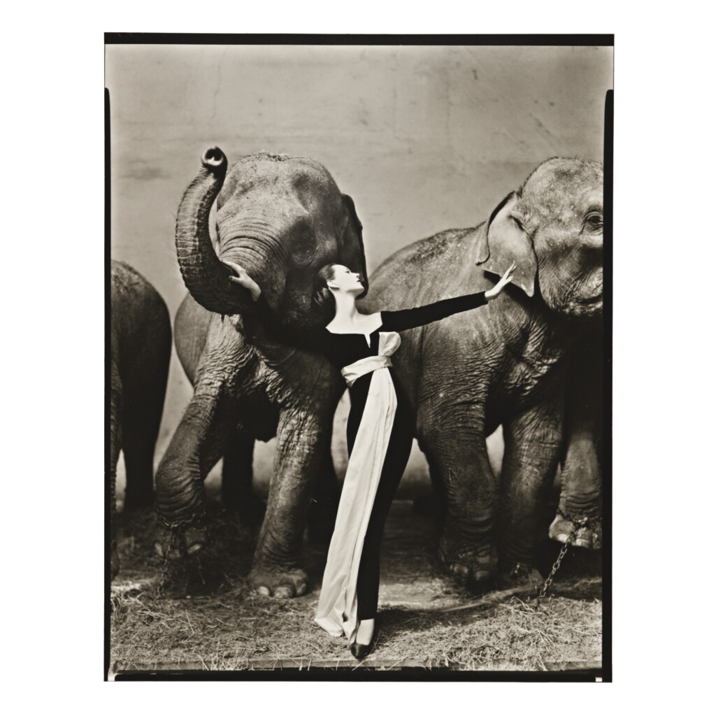 View full screen - View 1 of Lot 20. RICHARD AVEDON | DOVIMA WITH ELEPHANTS, EVENING DRESS BY DIOR, CIRQUE D'HIVER, PARIS.