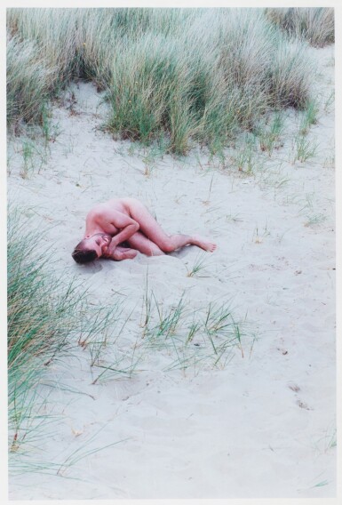 View full screen - View 1 of Lot 112. Lutz in Sand Dunes, 2000.
