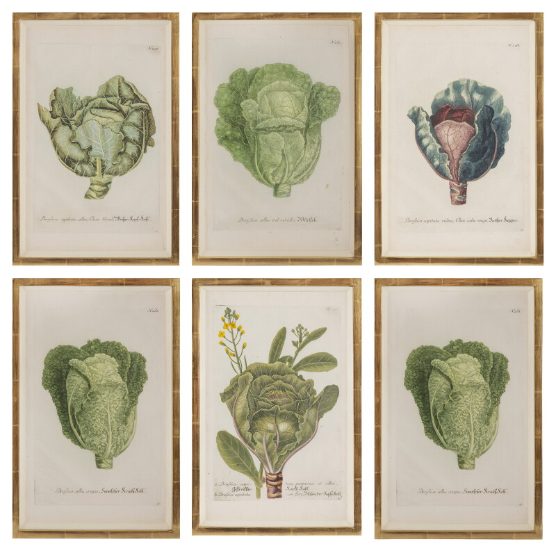 Cover image 0