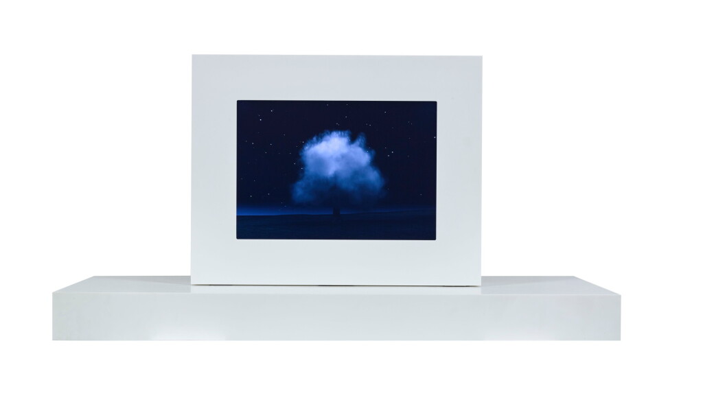 View full screen - View 1 of Lot 77. JOHN GERRARD | SMOKE TREE - 1.