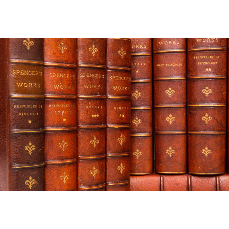 Cover image 0