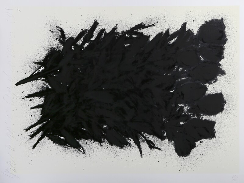 Cover image 0
