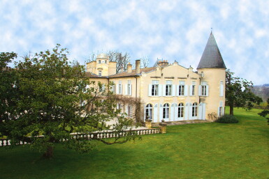 View full screen - View 1 of Lot 393. Château Lafite 1981 (6 BT).