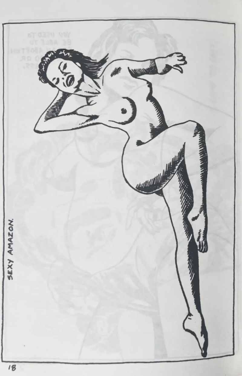 Cover image 0