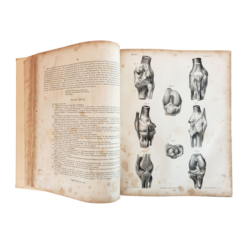 Cover image 0