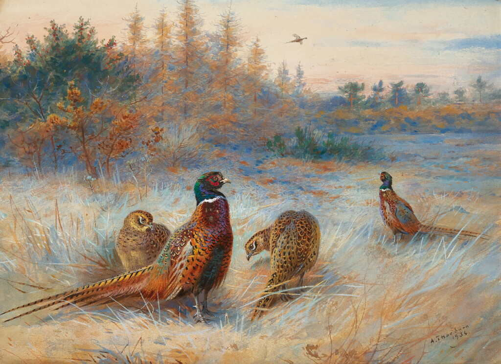 View full screen - View 1 of Lot 59. ARCHIBALD THORBURN | Autumn Dawn, Pheasants.